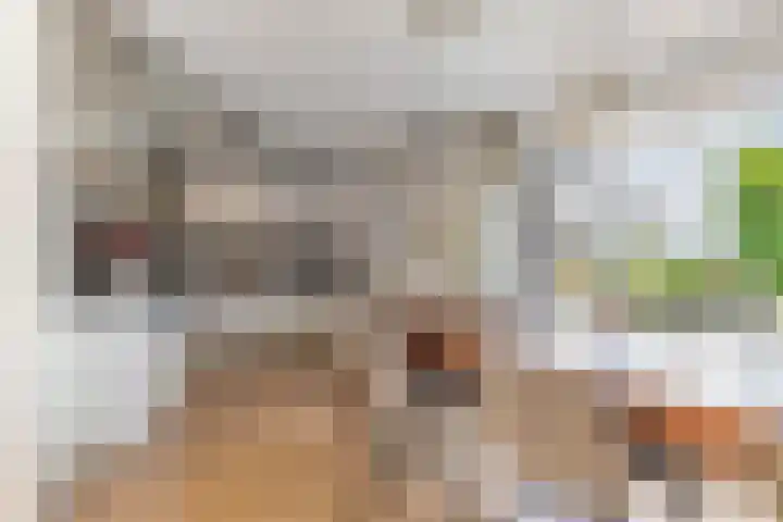 Van Houtenwei 8 Siegerswoude thumbnail 19