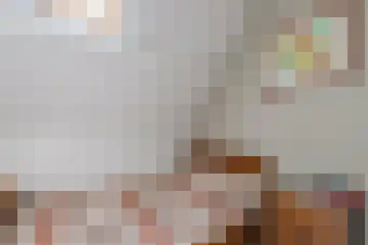 Van Houtenwei 8 Siegerswoude thumbnail 28