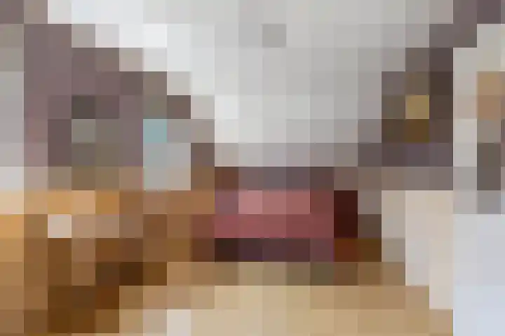 Van Houtenwei 8 Siegerswoude thumbnail 30
