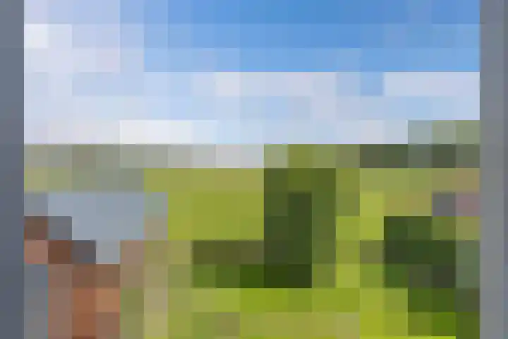 Van Houtenwei 8 Siegerswoude thumbnail 32