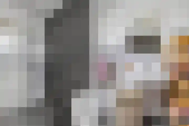 Van Houtenwei 8 Siegerswoude thumbnail 34