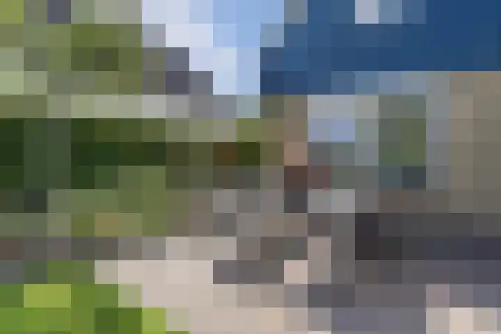 Van Houtenwei 8 Siegerswoude thumbnail 36