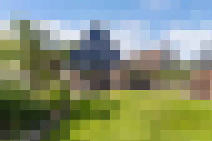 Van Houtenwei 8 Siegerswoude thumbnail 38