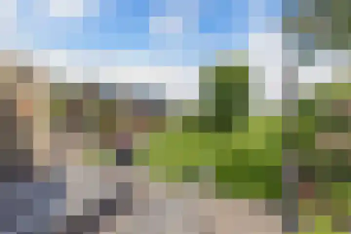 Van Houtenwei 8 Siegerswoude thumbnail 39