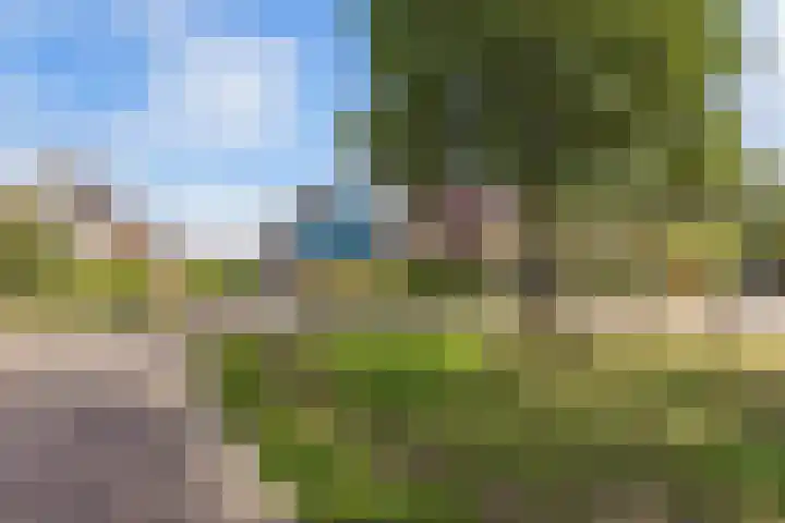 Van Houtenwei 8 Siegerswoude thumbnail 4