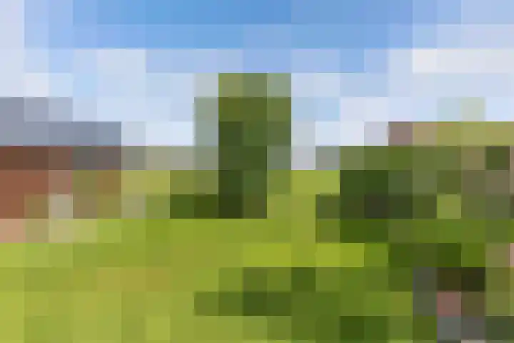 Van Houtenwei 8 Siegerswoude thumbnail 41