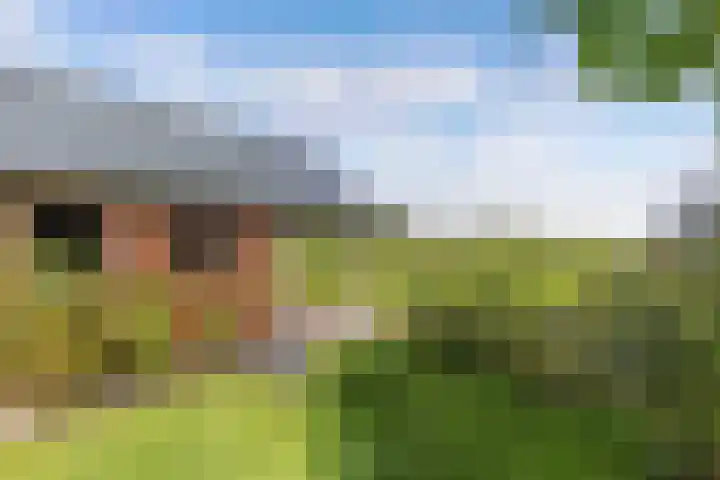 Van Houtenwei 8 Siegerswoude thumbnail 42