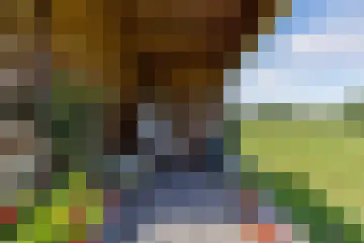 Van Houtenwei 8 Siegerswoude thumbnail 43