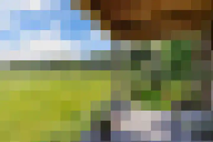 Van Houtenwei 8 Siegerswoude thumbnail 44