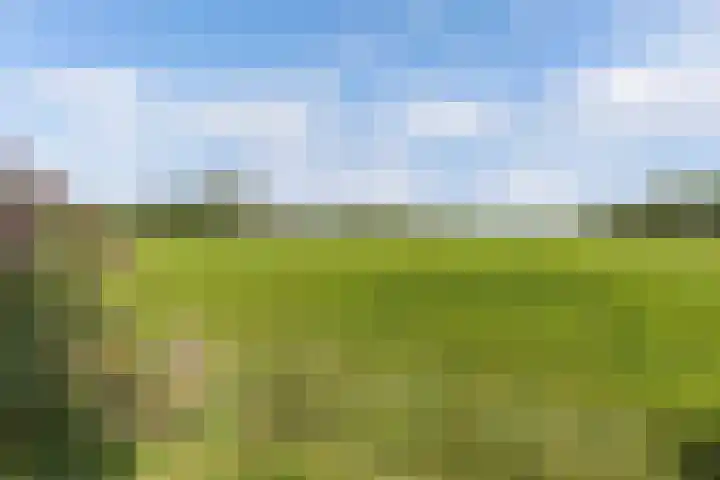 Van Houtenwei 8 Siegerswoude thumbnail 45