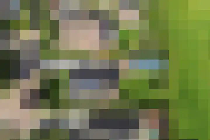Van Houtenwei 8 Siegerswoude thumbnail 46