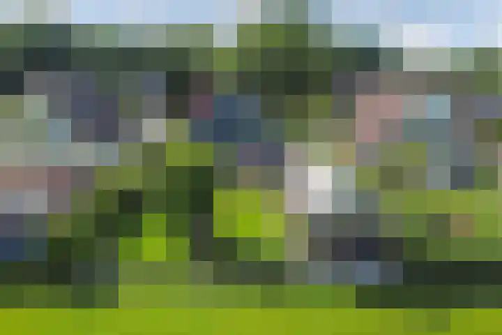 Van Houtenwei 8 Siegerswoude thumbnail 47