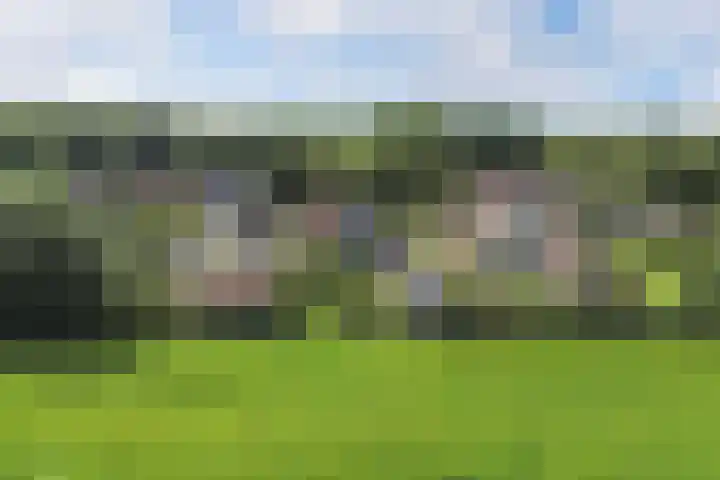Van Houtenwei 8 Siegerswoude thumbnail 49