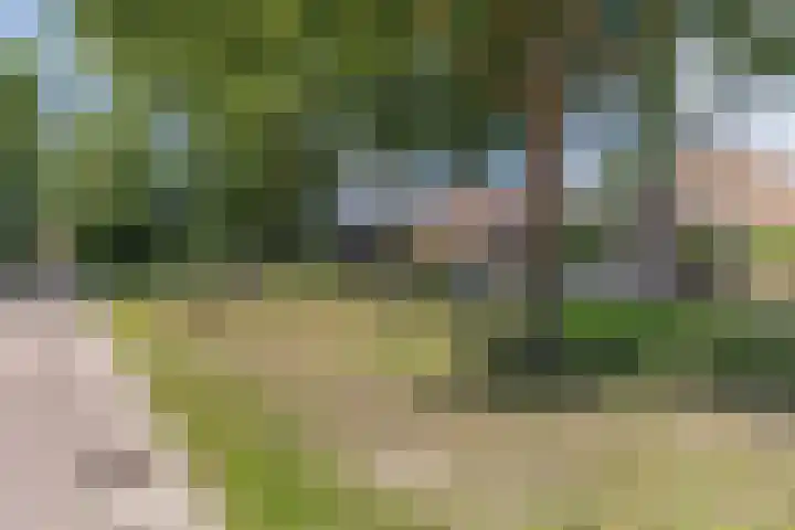 Van Houtenwei 8 Siegerswoude thumbnail 5