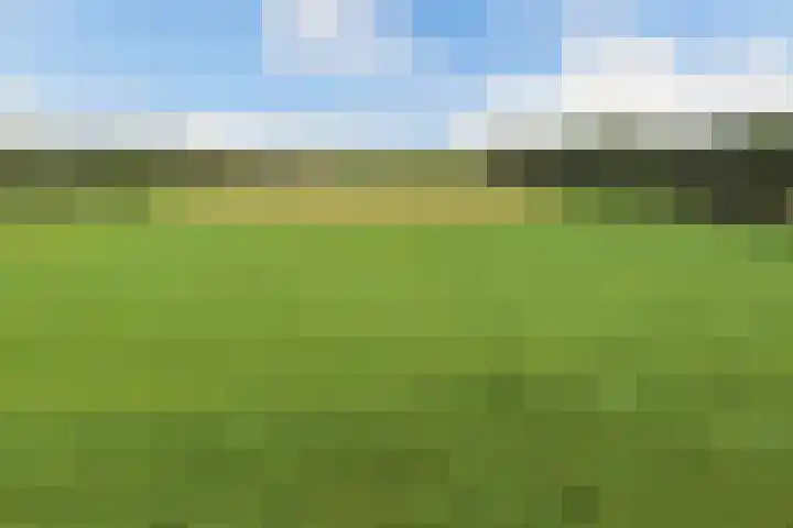 Van Houtenwei 8 Siegerswoude thumbnail 50