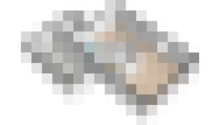 Van Houtenwei 8 Siegerswoude thumbnail 52