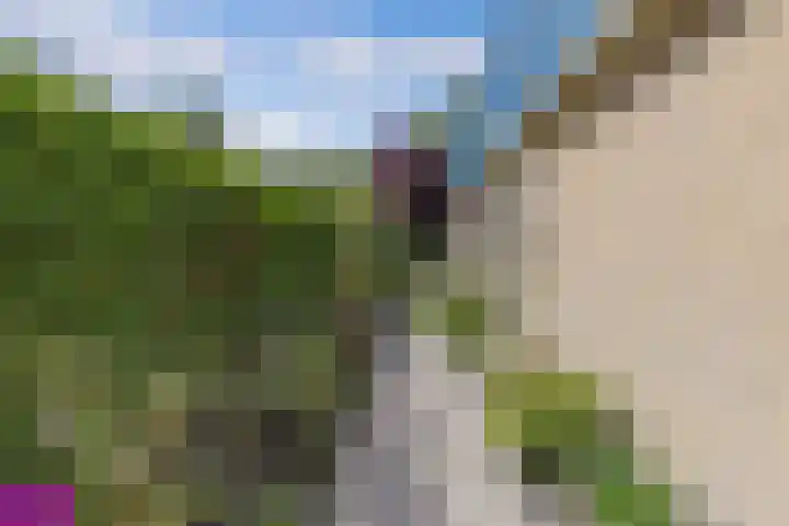 Van Houtenwei 8 Siegerswoude thumbnail 7