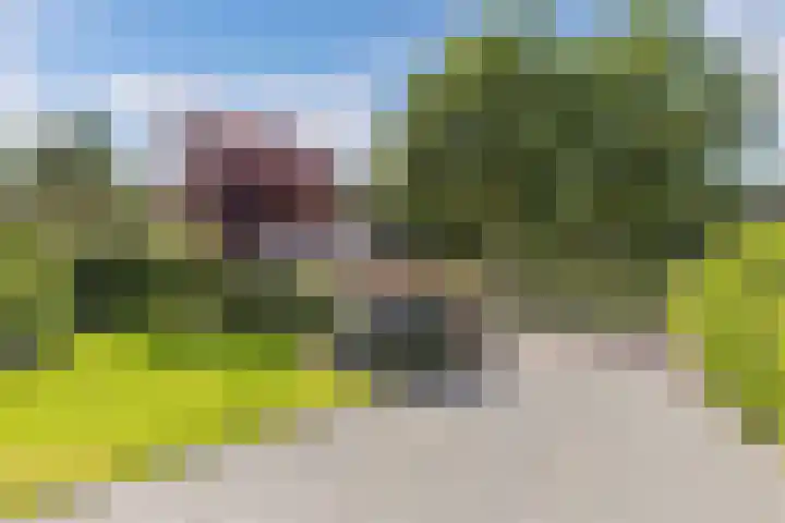 Van Houtenwei 8 Siegerswoude thumbnail 9