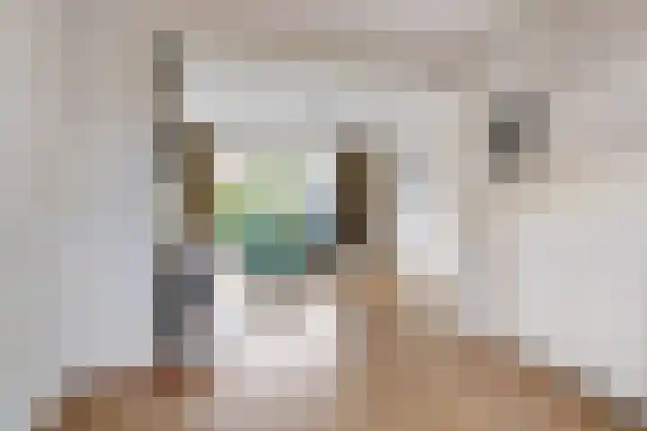 van Houtstraat 18 Duiven thumbnail 19