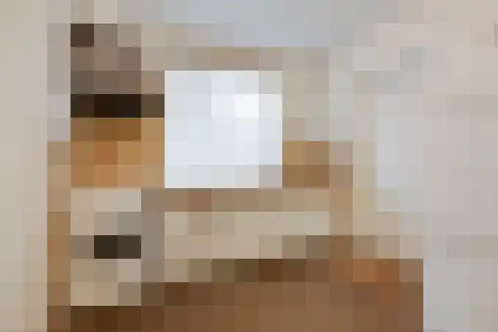 van Houtstraat 18 Duiven thumbnail 21