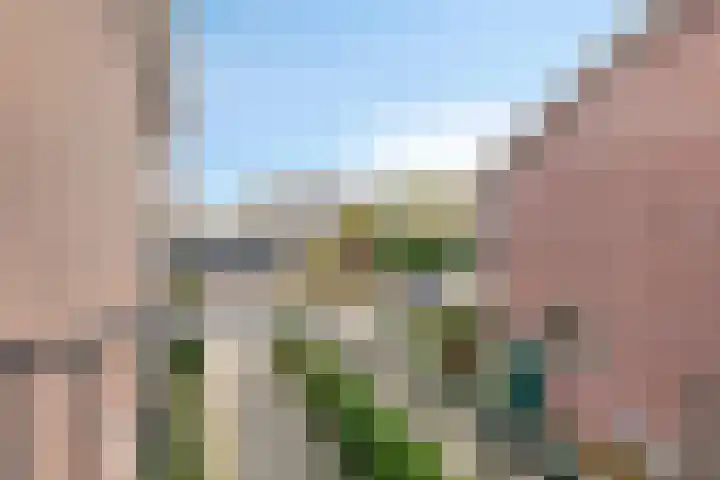 van Houtstraat 18 Duiven thumbnail 31
