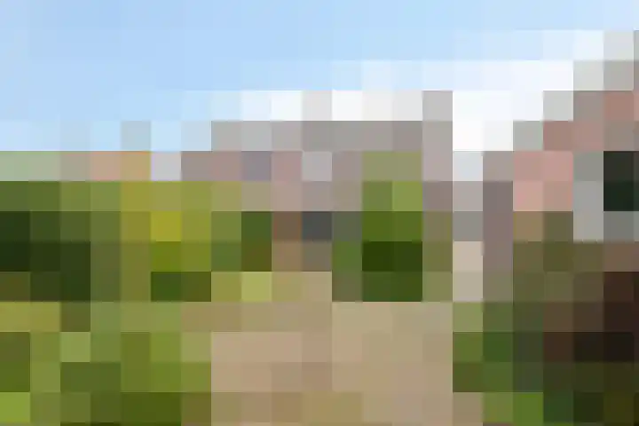 van Houtstraat 18 Duiven thumbnail 4