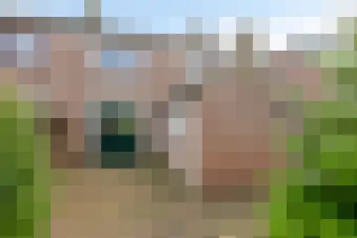 van Houtstraat 18 Duiven thumbnail 49