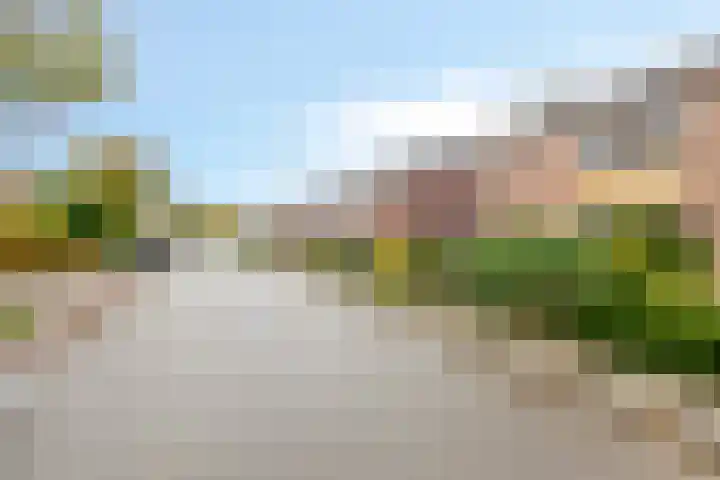 van Houtstraat 18 Duiven thumbnail 57