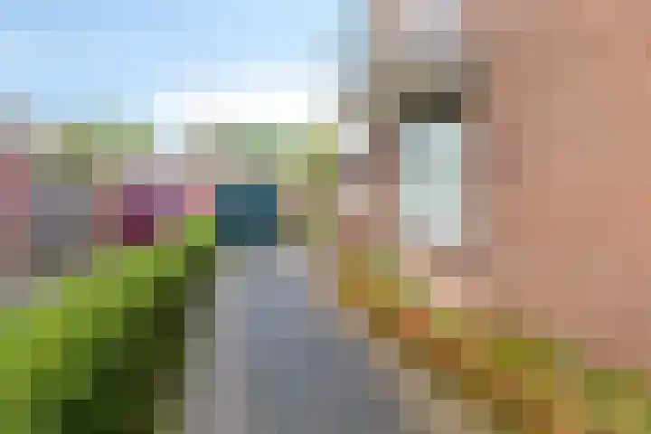 van Houtstraat 18 Duiven thumbnail 9
