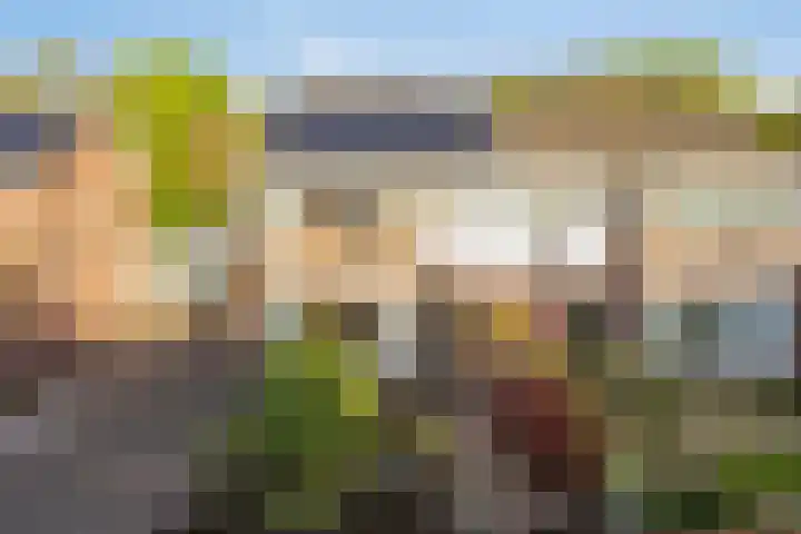 van Houtstraat 42 Duiven thumbnail 10
