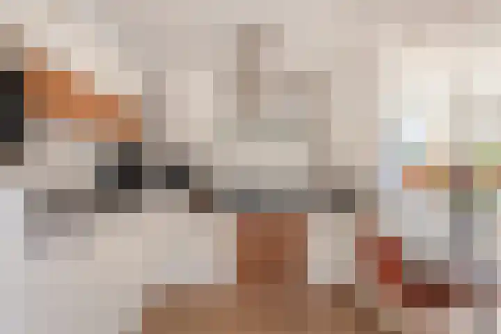 van Houtstraat 42 Duiven thumbnail 21