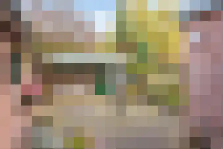 van Houtstraat 42 Duiven thumbnail 38