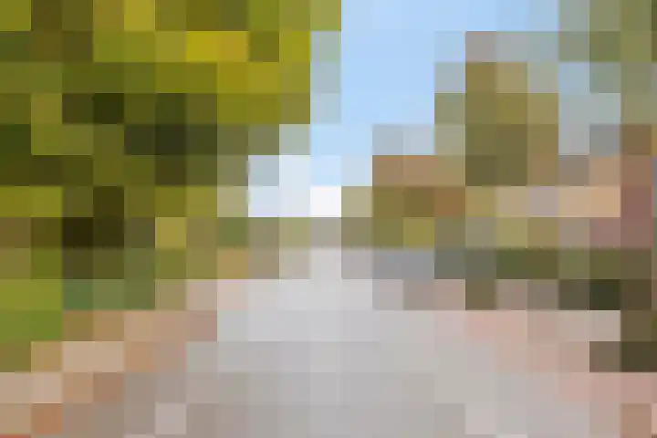 van Houtstraat 42 Duiven thumbnail 7