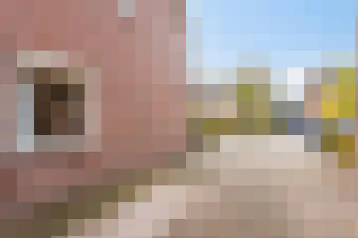 van Houtstraat 42 Duiven thumbnail 8