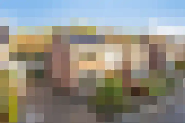 van Houtstraat 42 Duiven thumbnail 9
