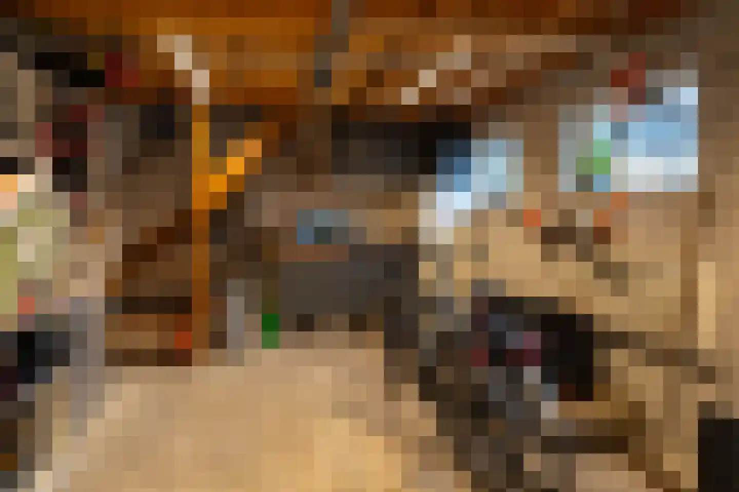 Van Houwelingenplantsoen 3 Vught thumbnail 69