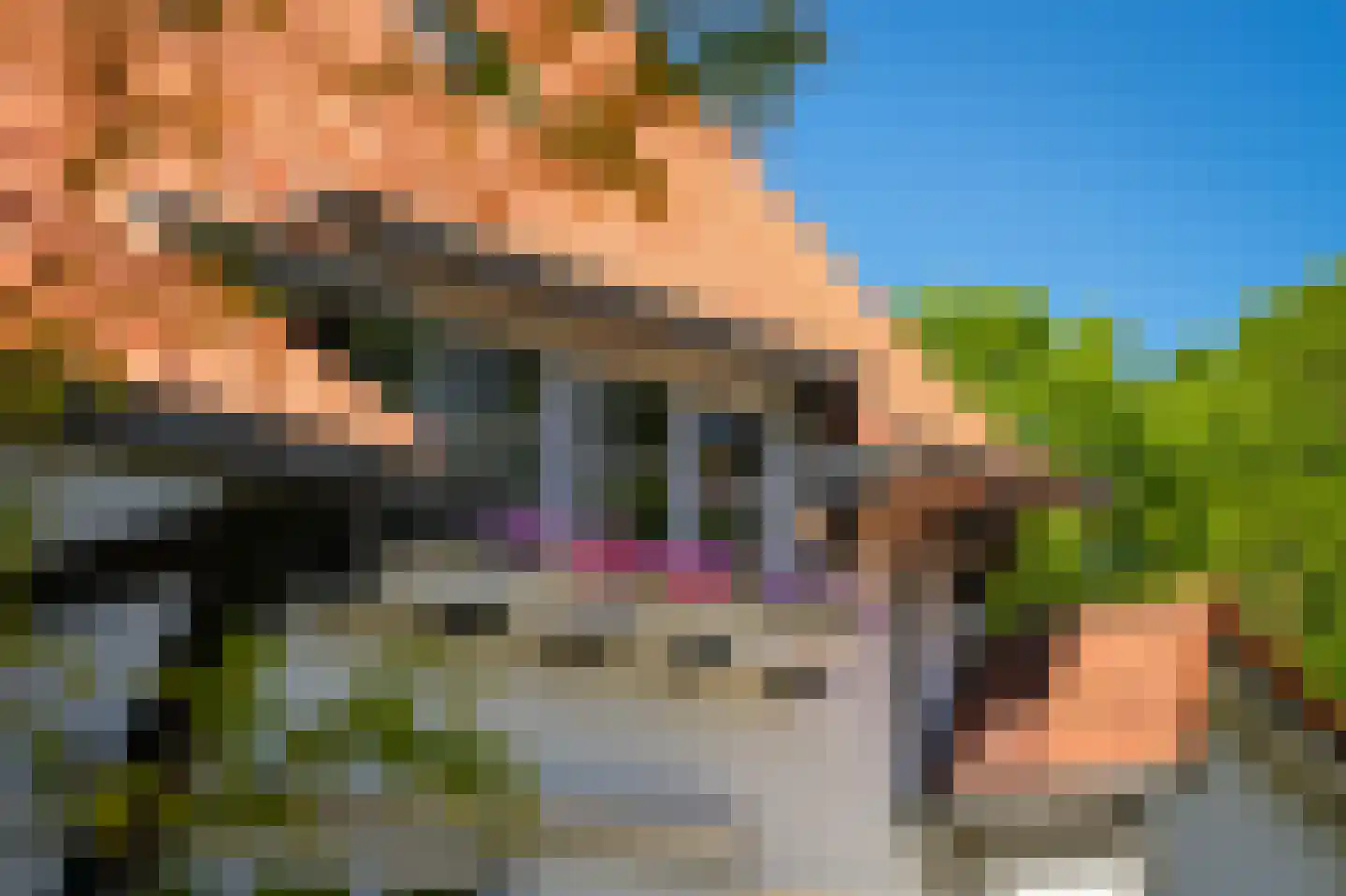 Van Houwelingenplantsoen 3 Vught thumbnail 73