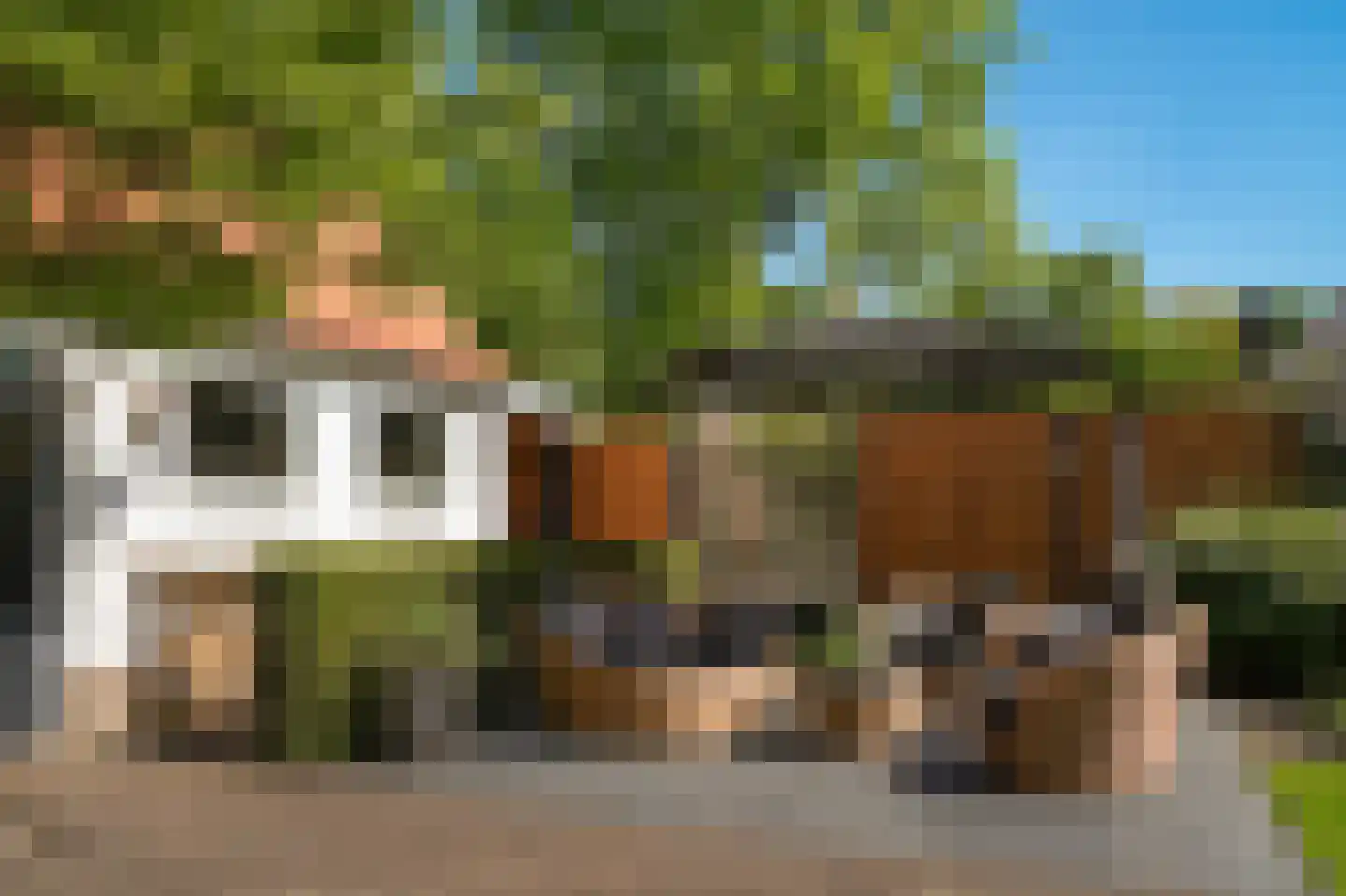 Van Houwelingenplantsoen 3 Vught thumbnail 75