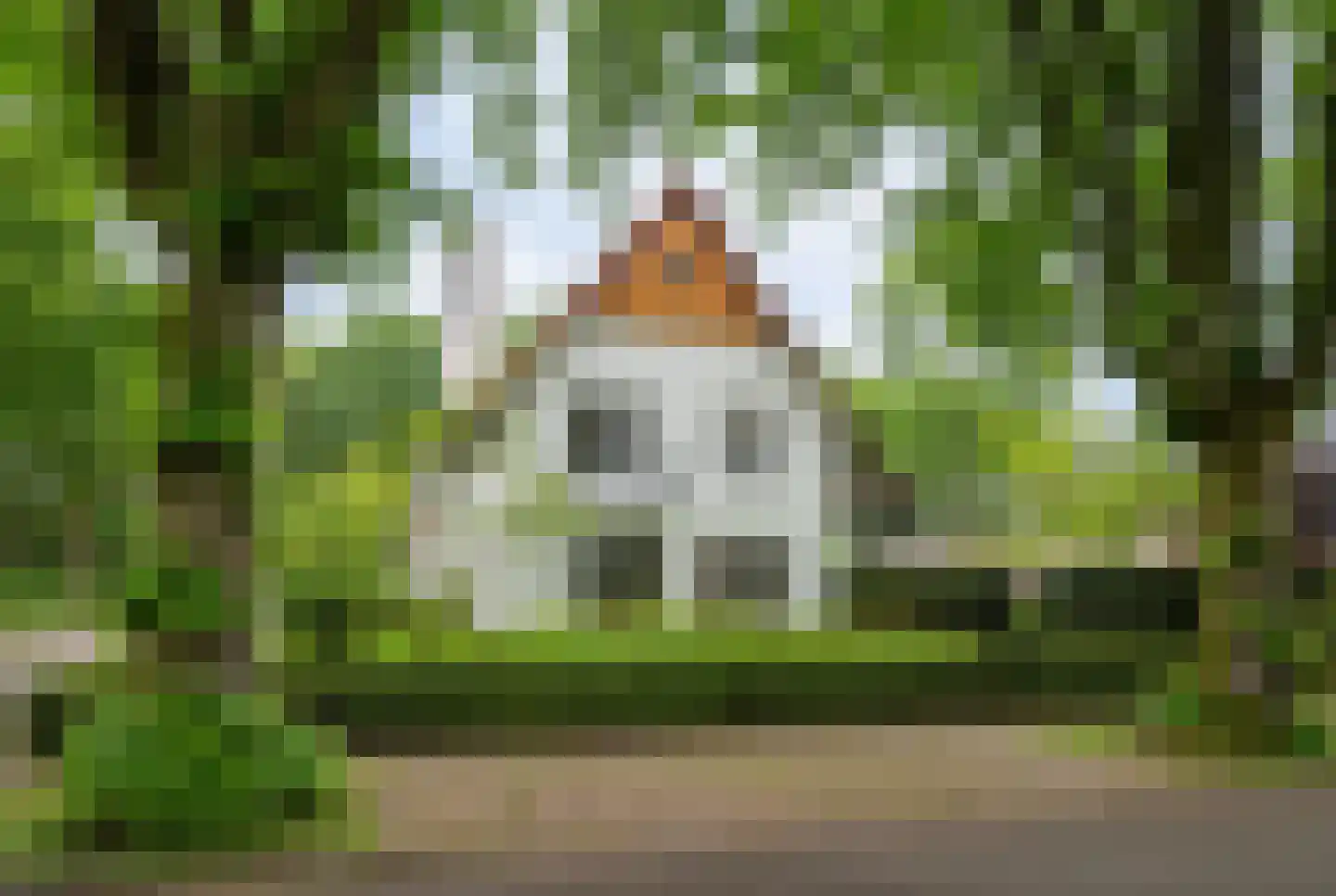Van Houwelingenplantsoen 3 Vught thumbnail 75