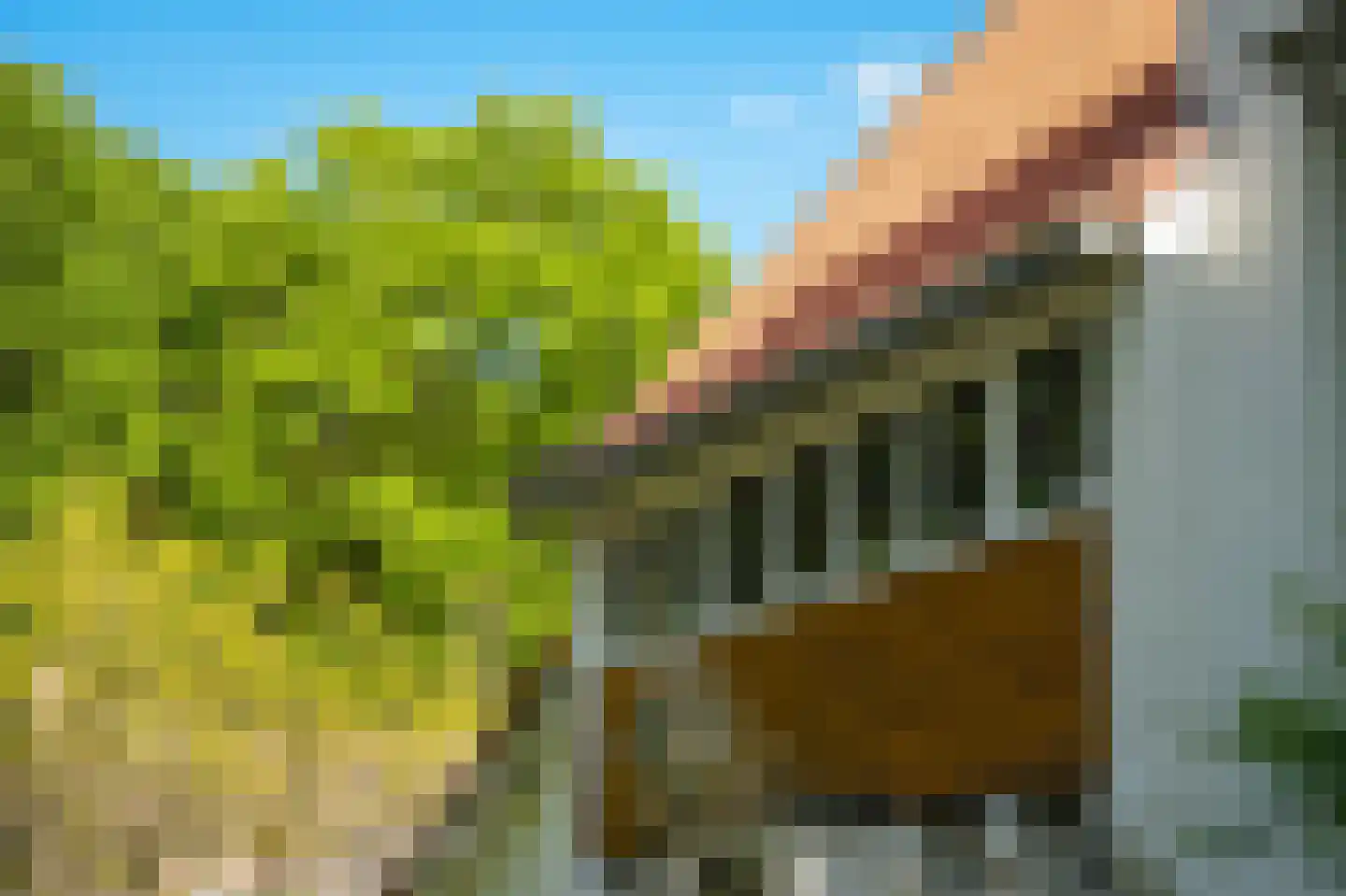 Van Houwelingenplantsoen 3 Vught thumbnail 81