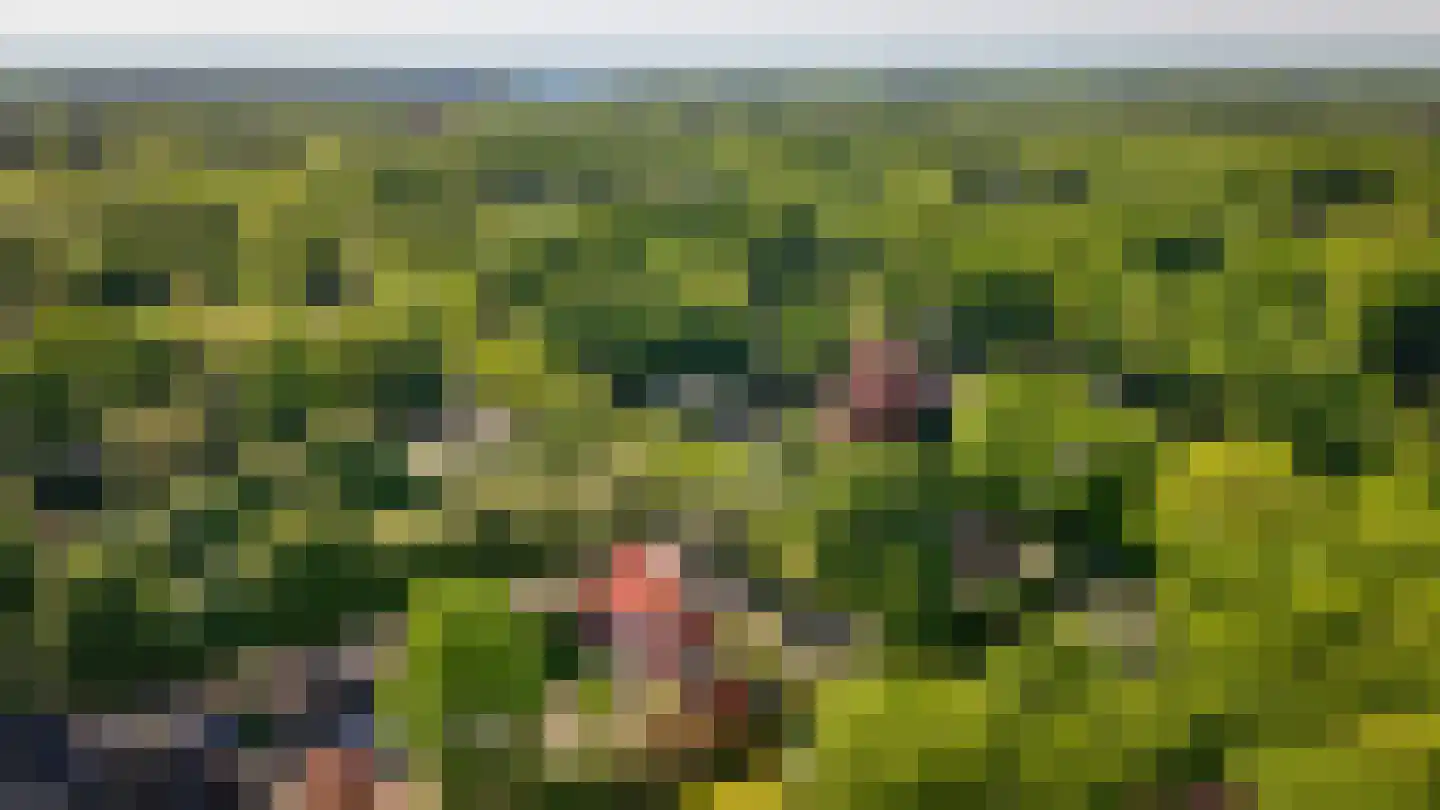 Van Houwelingenplantsoen 3 Vught thumbnail 86