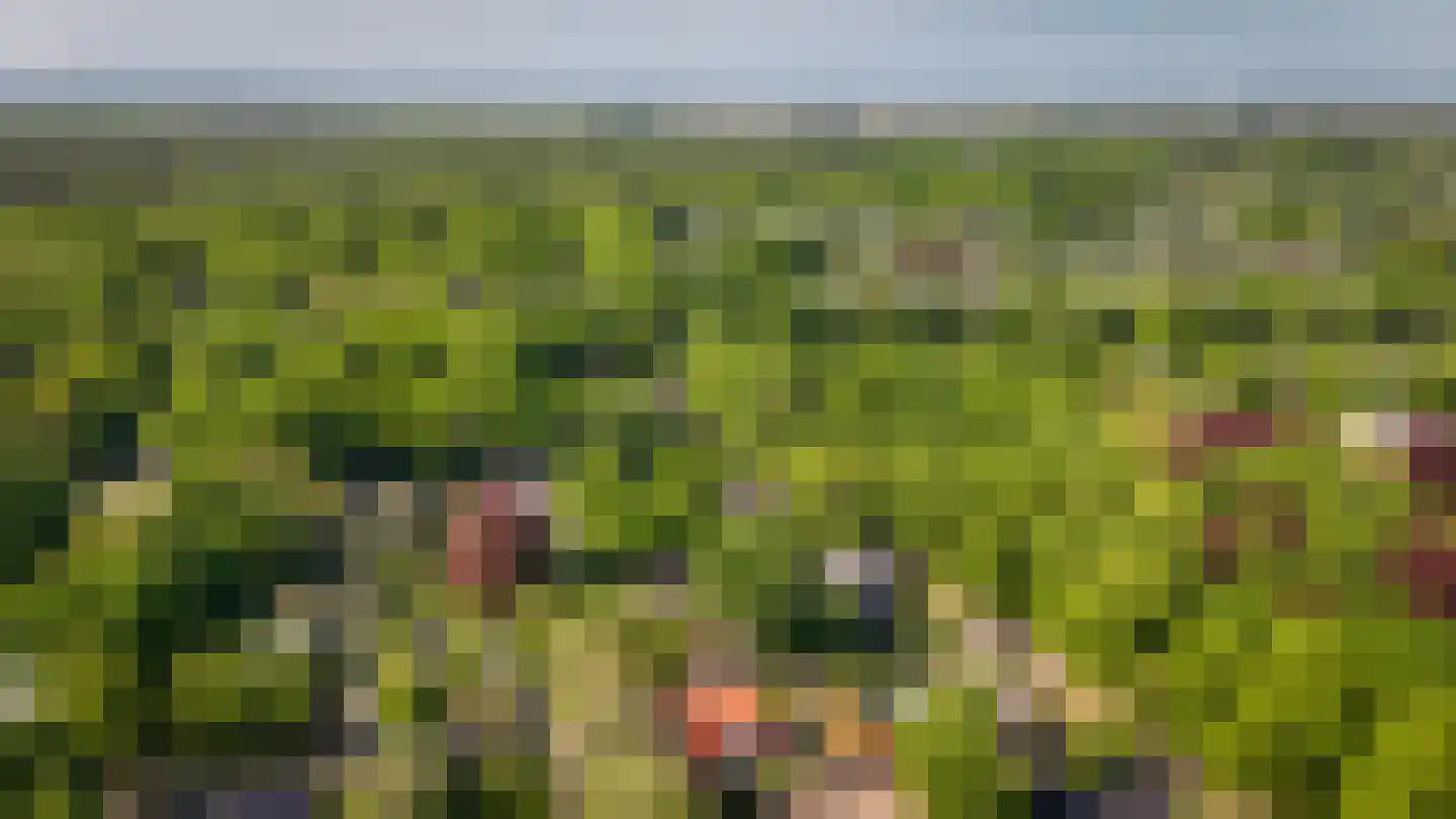 Van Houwelingenplantsoen 3 Vught thumbnail 87