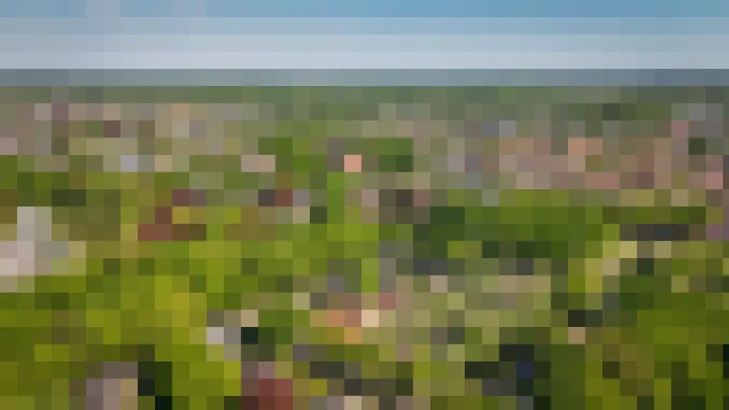 Van Houwelingenplantsoen 3 Vught thumbnail 88