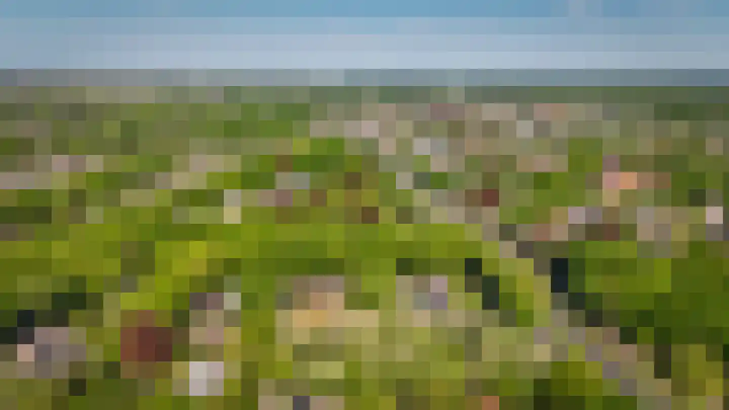 Van Houwelingenplantsoen 3 Vught thumbnail 89