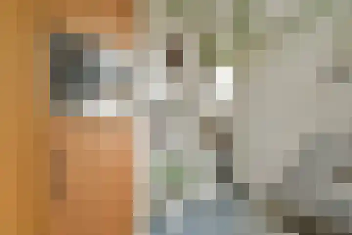 Van Houweningenstraat 52 3 Amsterdam thumbnail 8