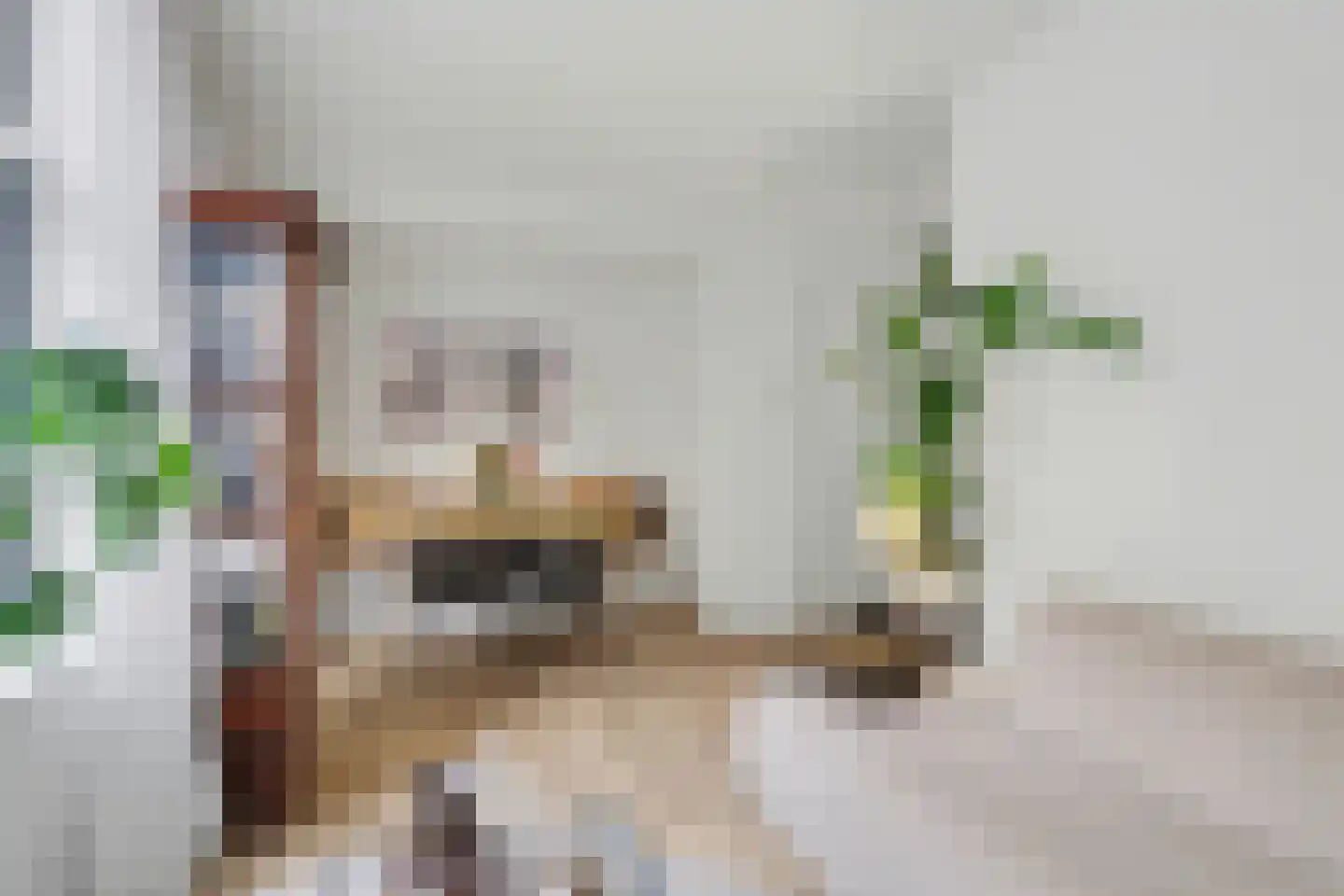 Van Houweningenstraat 58 1 Amsterdam thumbnail 15