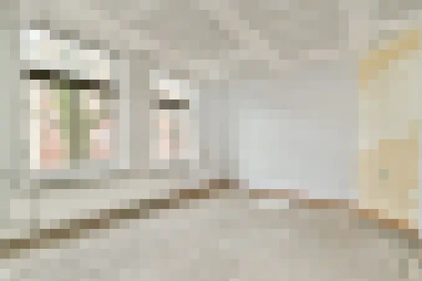 Van Houweningenstraat 62 2 Amsterdam thumbnail 9