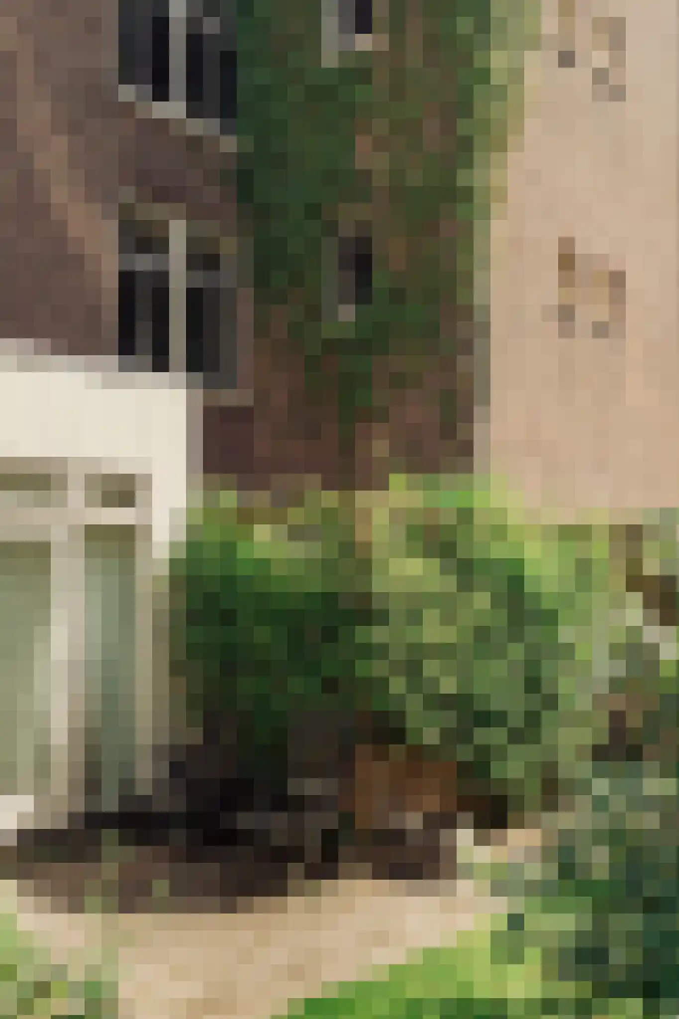 Van Houweningenstraat 72 3 Amsterdam thumbnail 46