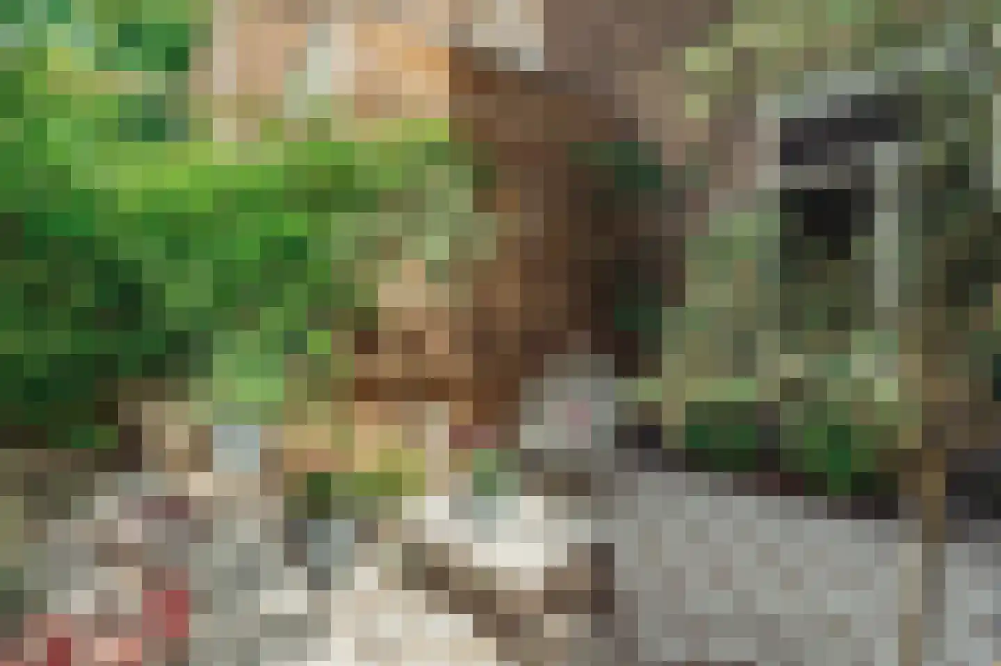 Van Houweningenstraat 72 3 Amsterdam thumbnail 5