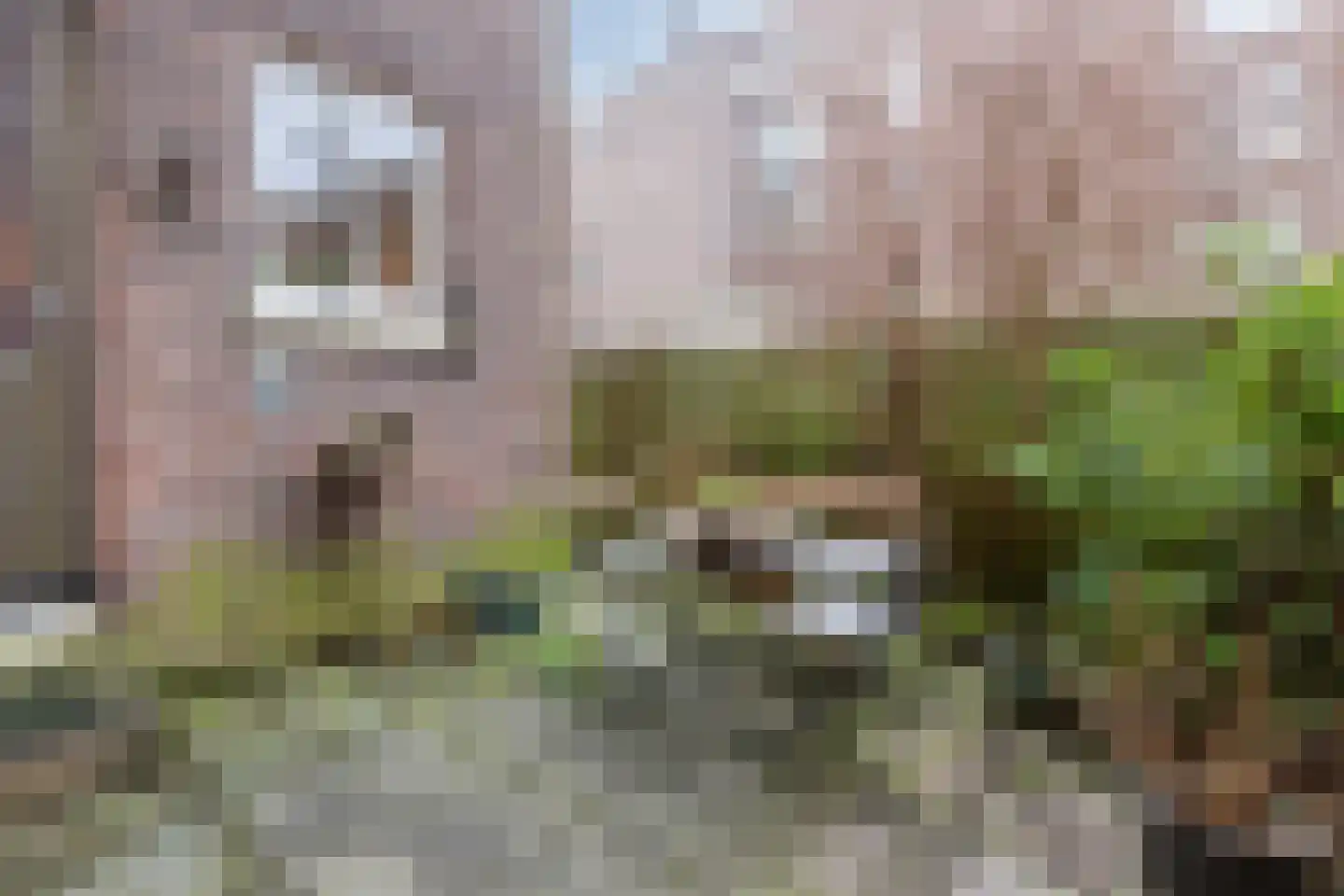 Van Houweningenstraat 80 2 Amsterdam thumbnail 14